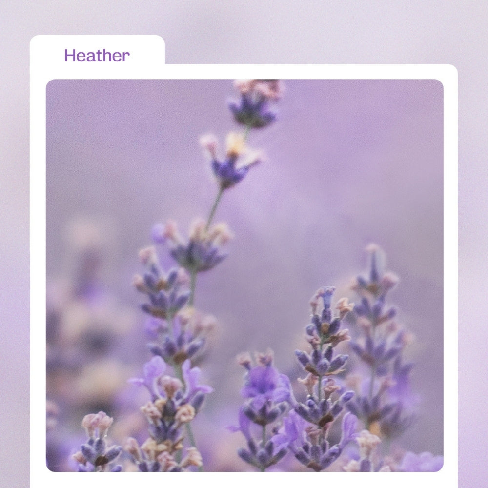 Heather Calming Essence Pad, 60 pcs